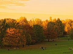 Impressionen - Britzer Garten (6)