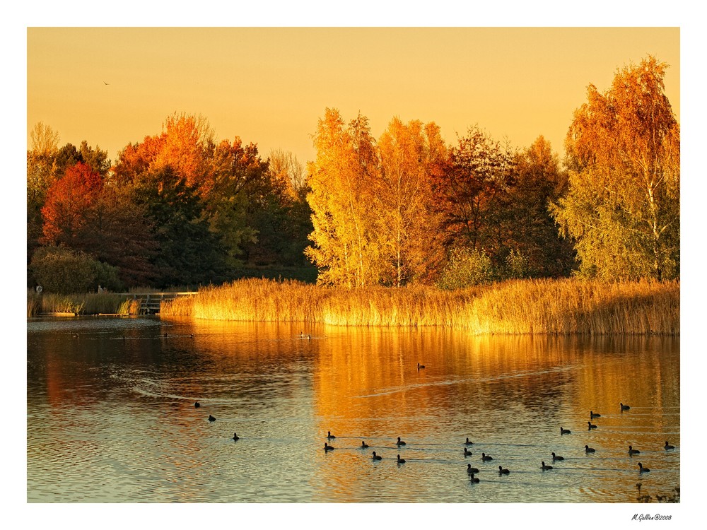 Impressionen - Britzer Garten (7)