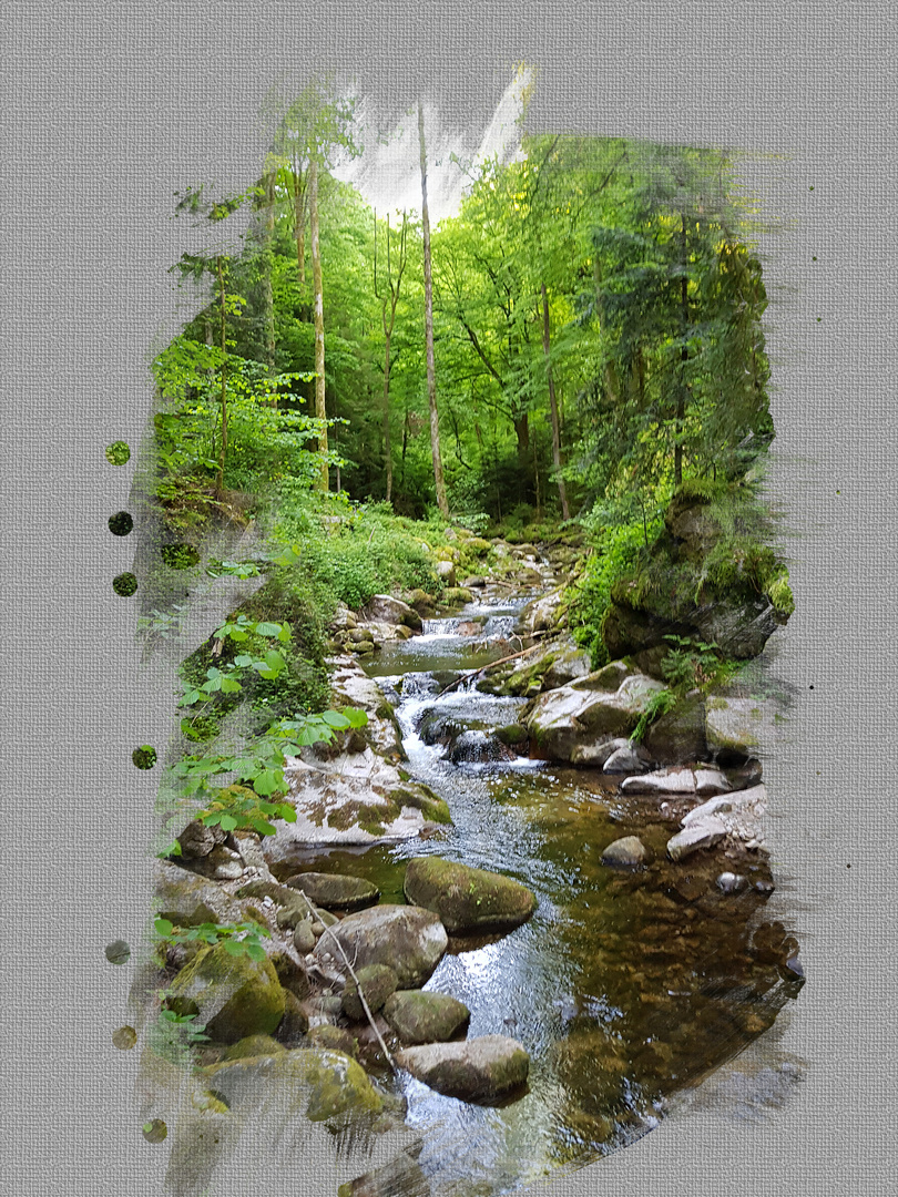 Impressionen der Gerolsauer Wasserfälle/Grobbach  bei Baden Baden