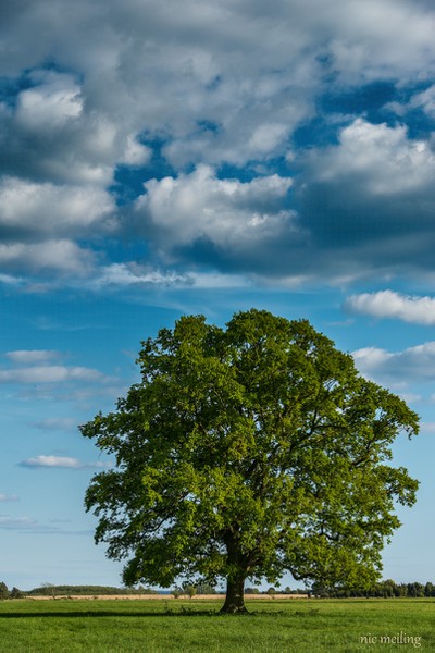 Impressionen der Natur