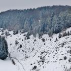 Impressionen der Schwäbischen Alb ( NSG Böttental )