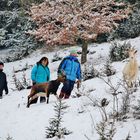 Impressionen der Schwäbischen Alb ( Tierische Begleiter )