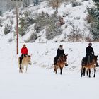 Impressionen der Schwäbischen Alb ( Winterlicher Ausritt )