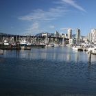 impressionen des false creek....