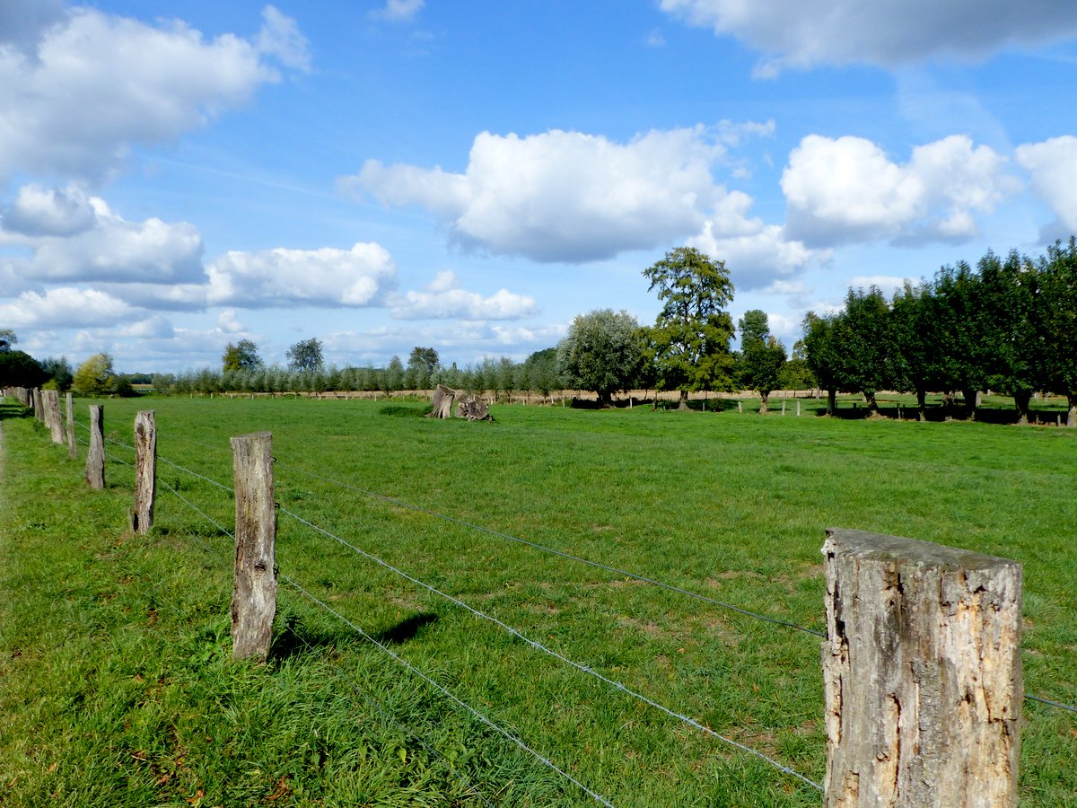 Impressionen einer Landschaft  1