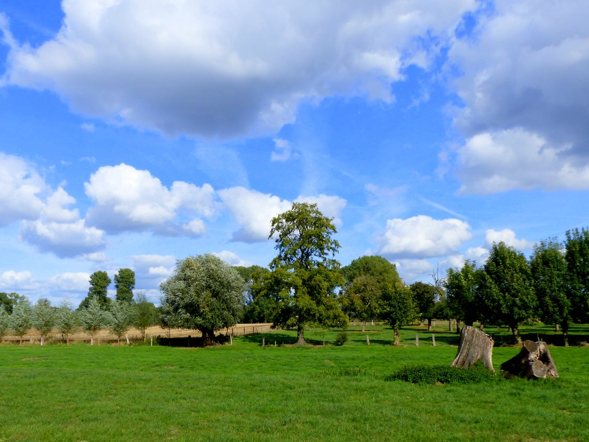 Impressionen einer Landschaft 2