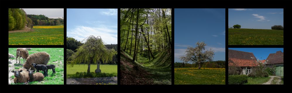 Impressionen einer Mai-Wanderung