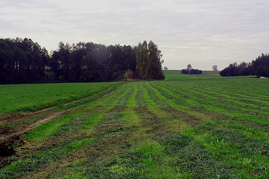 Impressionen einer Polenreise - Die Weite...