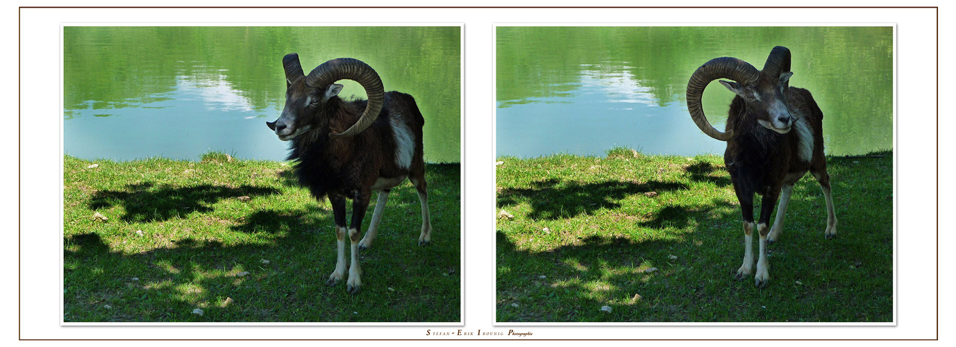 "Impressionen einer Wanderung"