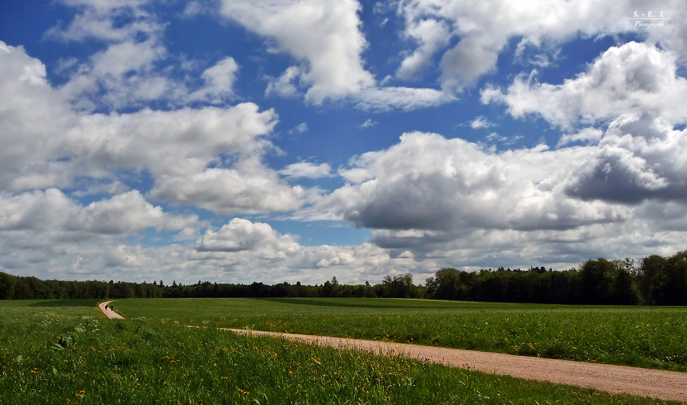 "Impressionen einer Wanderung"