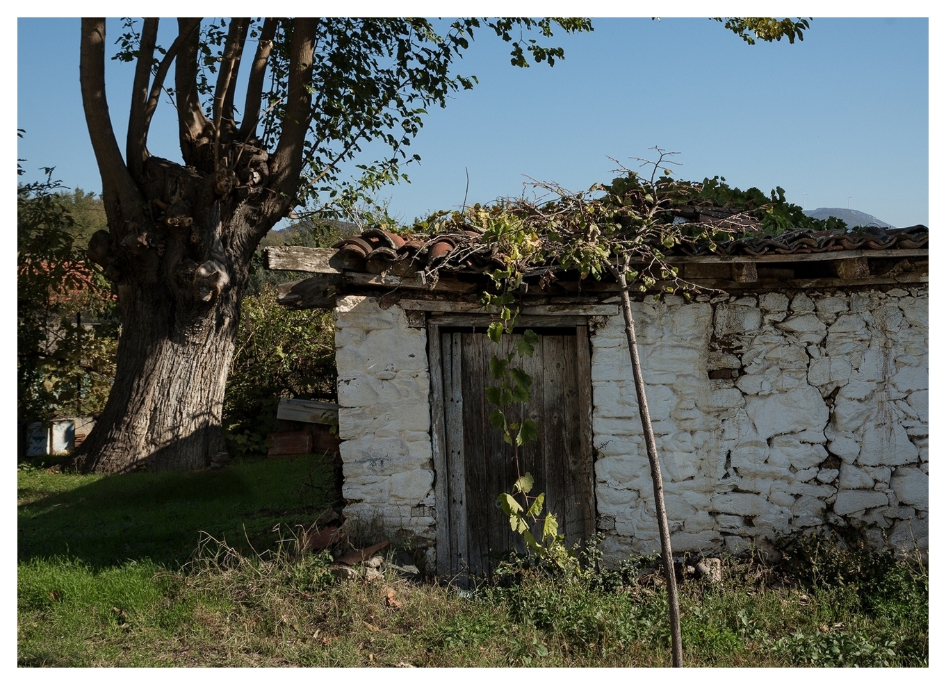 Impressionen eines Dorfspaziergangs