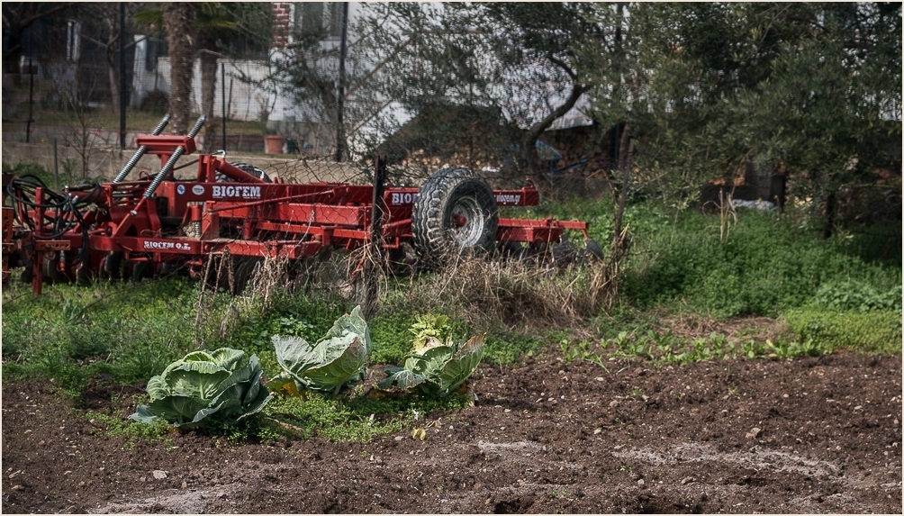 Impressionen eines Dorfspaziergangs 65