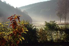 Impressionen - Früh morgens im Rothaargebirge