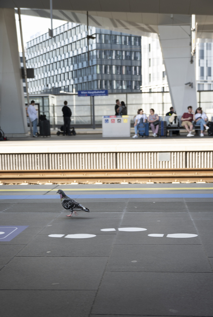 Impressionen - Hauptbahnhof Wien