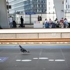 Impressionen - Hauptbahnhof Wien