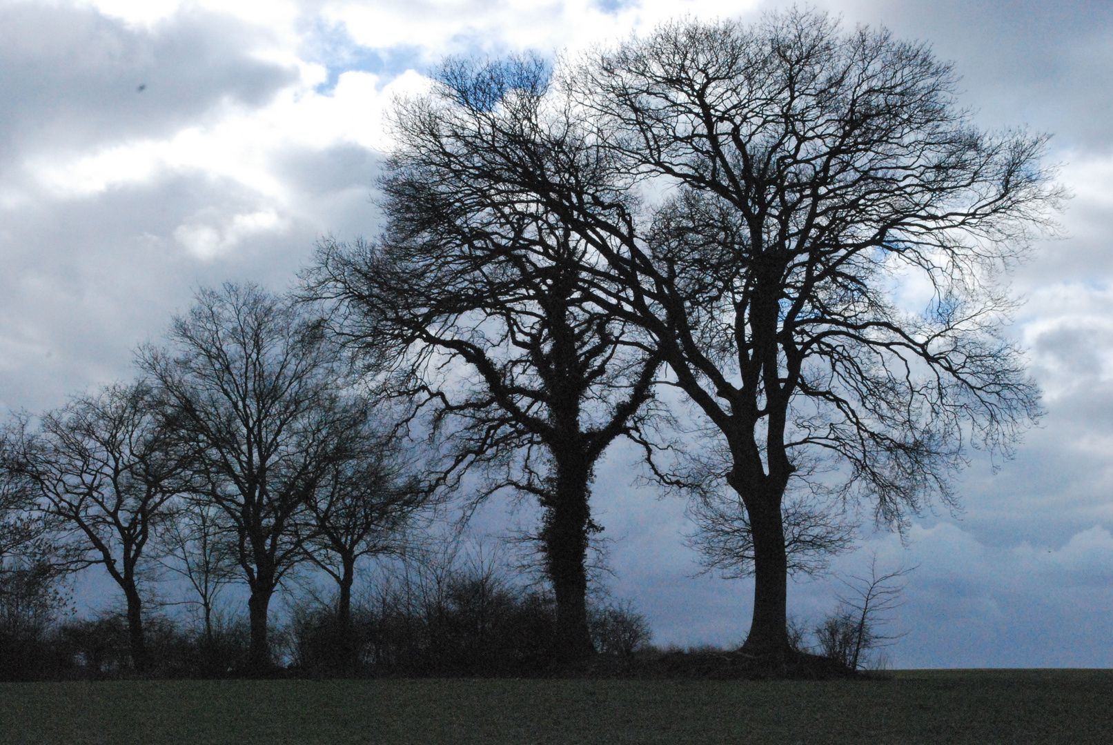 Impressionen Himmel und Bäume