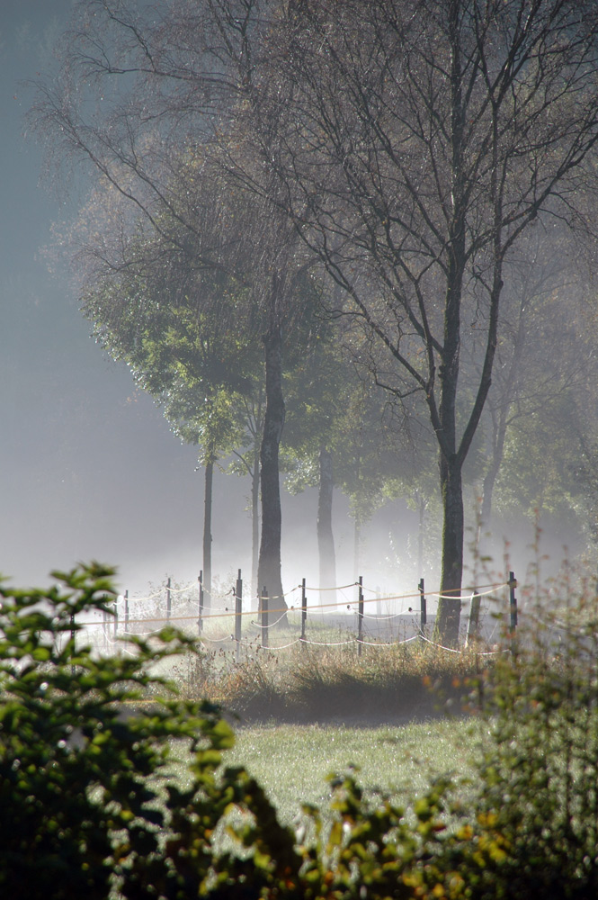 Impressionen im Hochsauerland