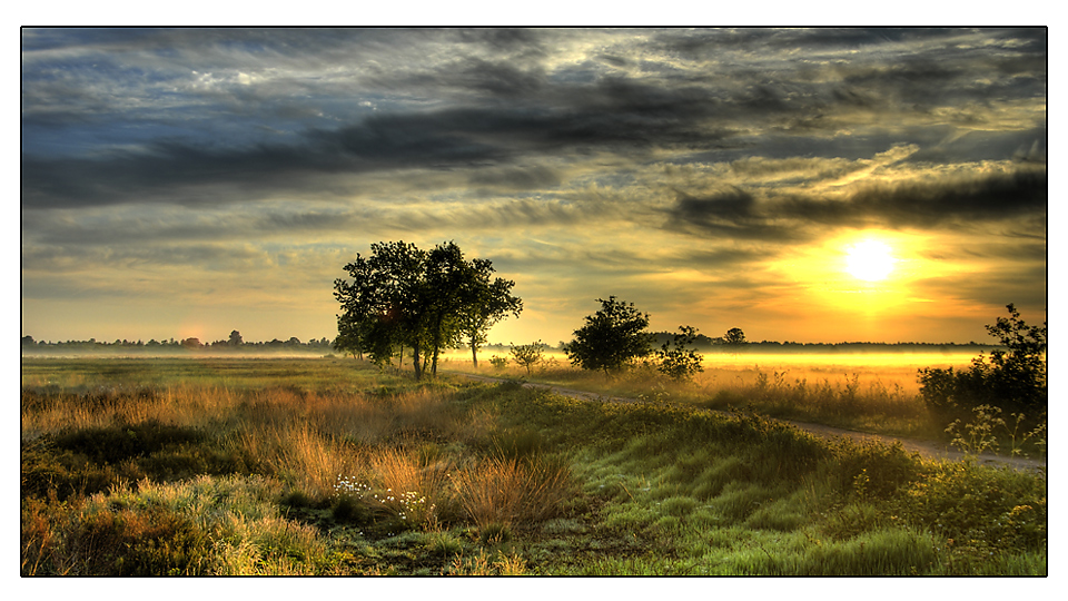 Impressionen im Moor II