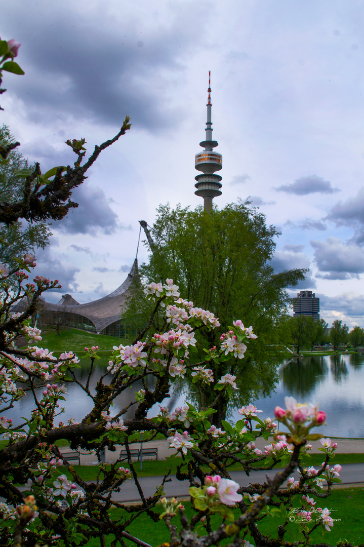 Impressionen im Olympiapark