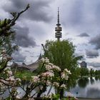 Impressionen im Olympiapark