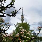 Impressionen im Olympiapark