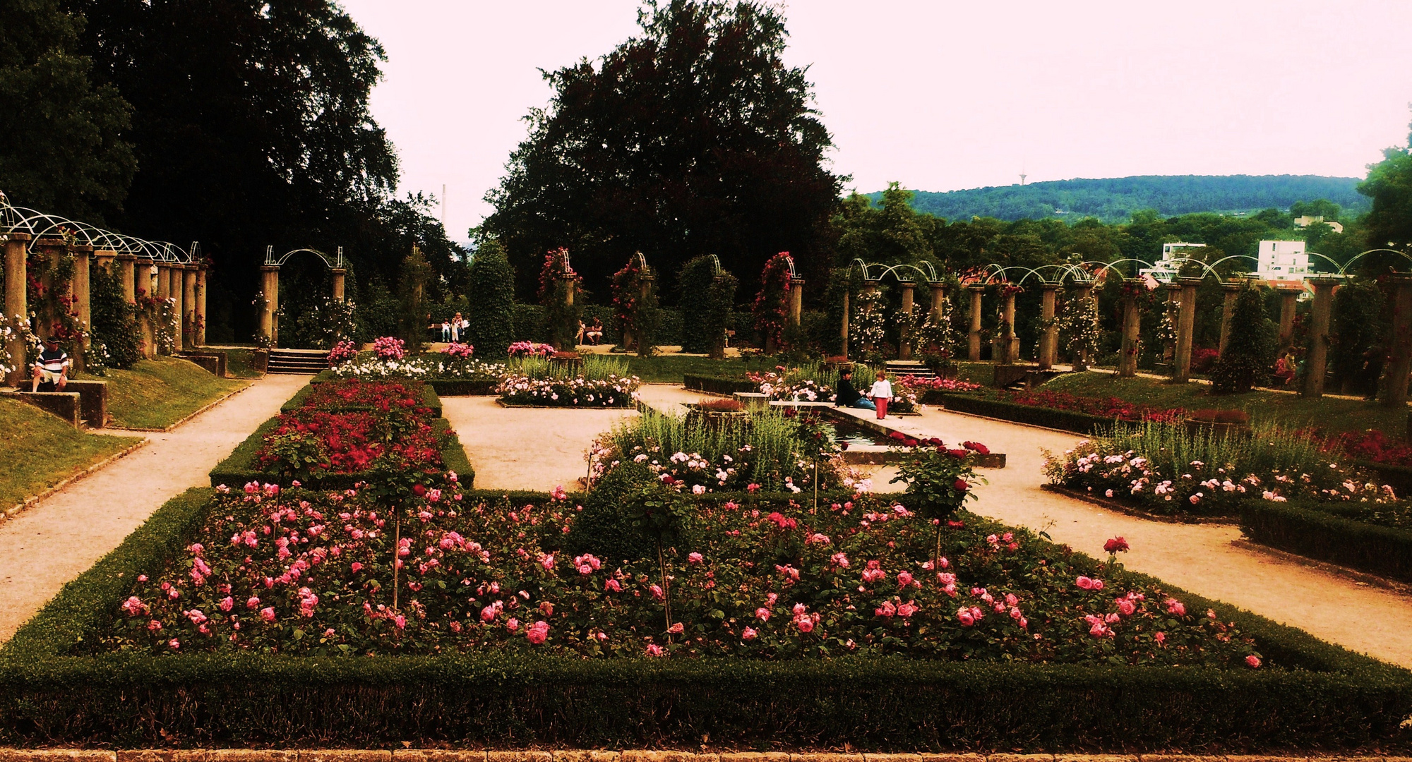 Impressionen im Rosensteinpark 8 der Rosengarten