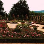 Impressionen im Rosensteinpark 8 der Rosengarten