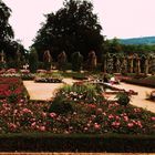 Impressionen im Rosensteinpark 8 der Rosengarten