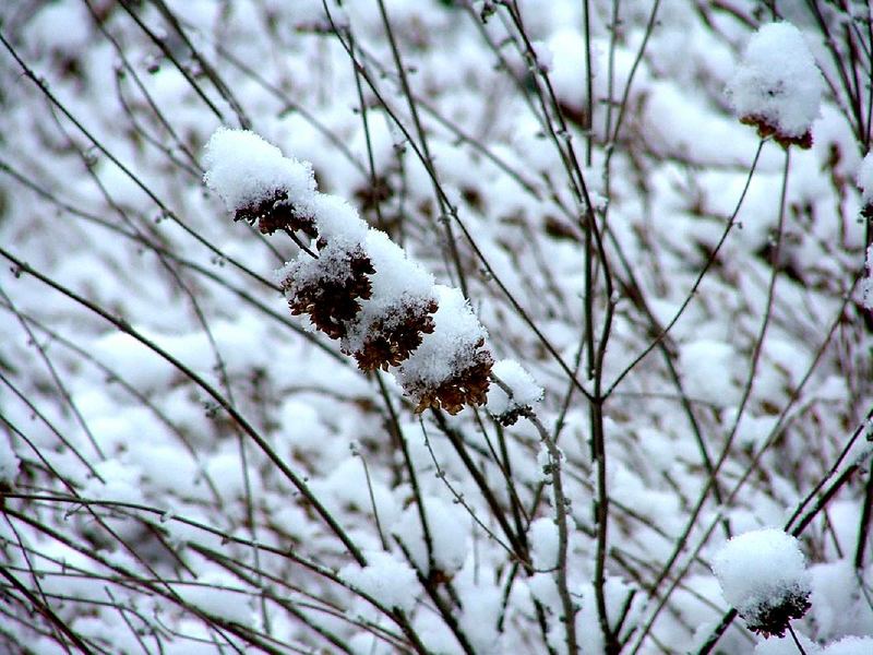 Impressionen im Schnee