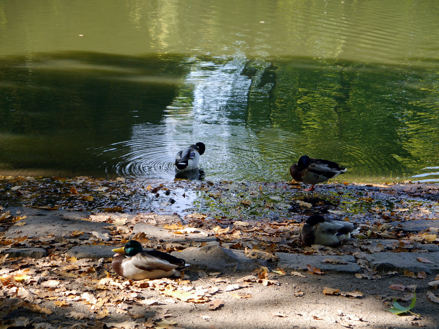 Impressionen im Volksgarten