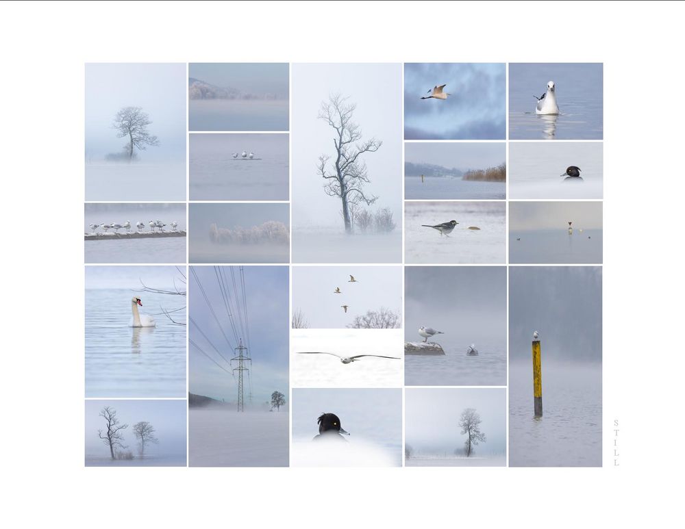 IMPRESSIONEN im Winter