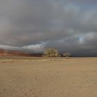 Impressionen in der Namib