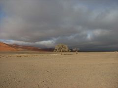 Impressionen in der Namib