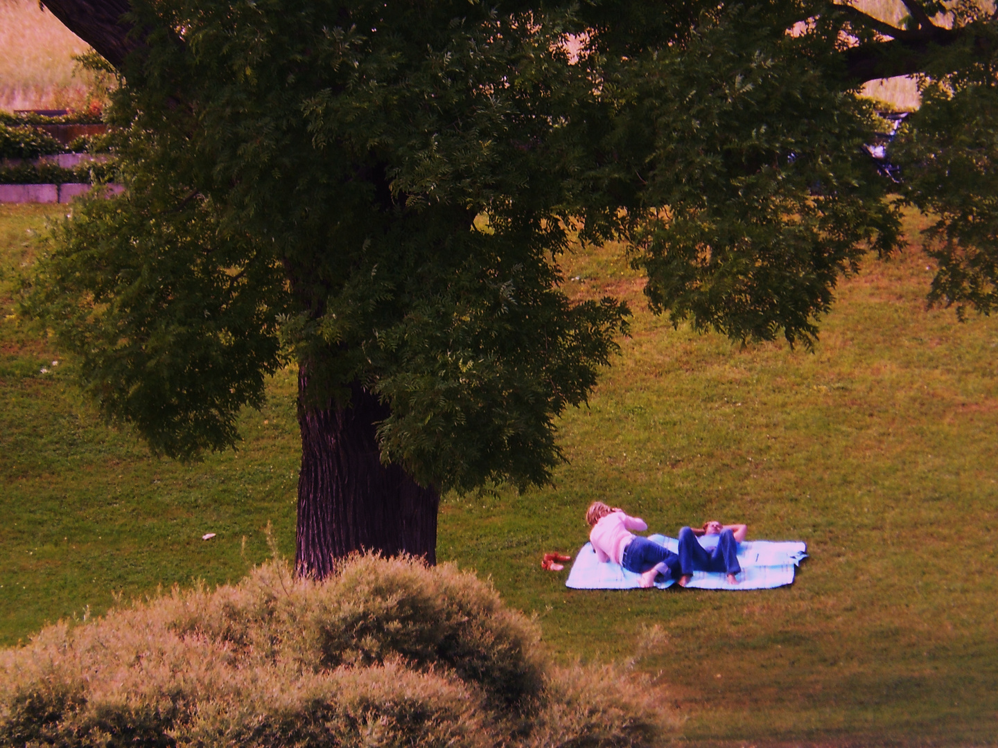 Impressionen i.Rosensteinpark 10 Relaxen unter freiem Himmel