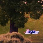 Impressionen i.Rosensteinpark 10 Relaxen unter freiem Himmel