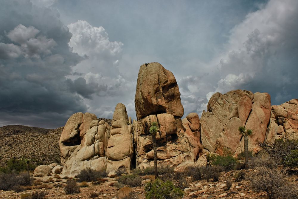 Impressionen Joshua Tree Nationalpark I