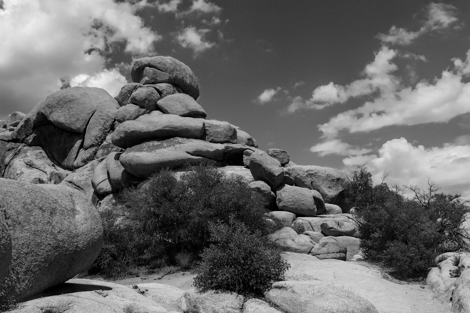 Impressionen Joshua Tree Nationalpark II