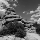 Impressionen Joshua Tree Nationalpark II