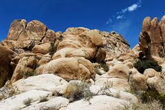 Impressionen Joshua Tree Nationalpark IV