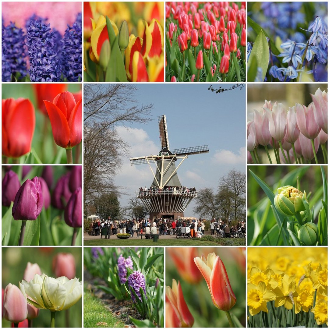 Impressionen Keukenhof