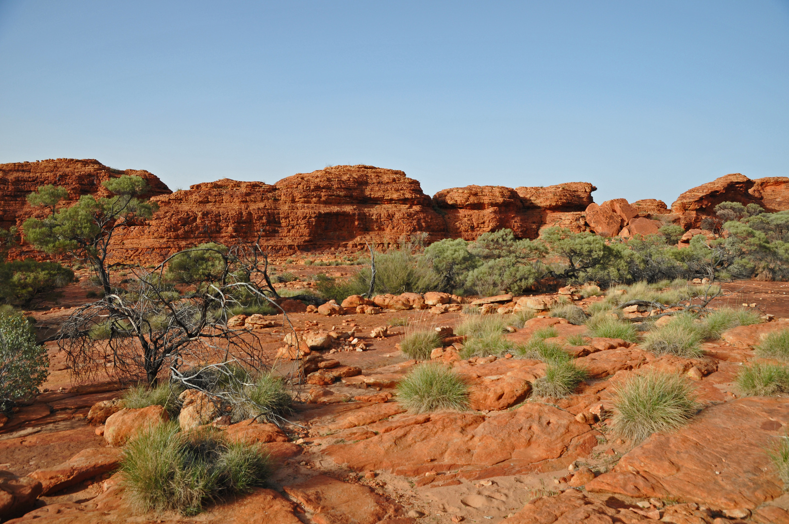 Impressionen Kings Canyon