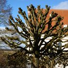 Impressionen Kloster Obermarchtal