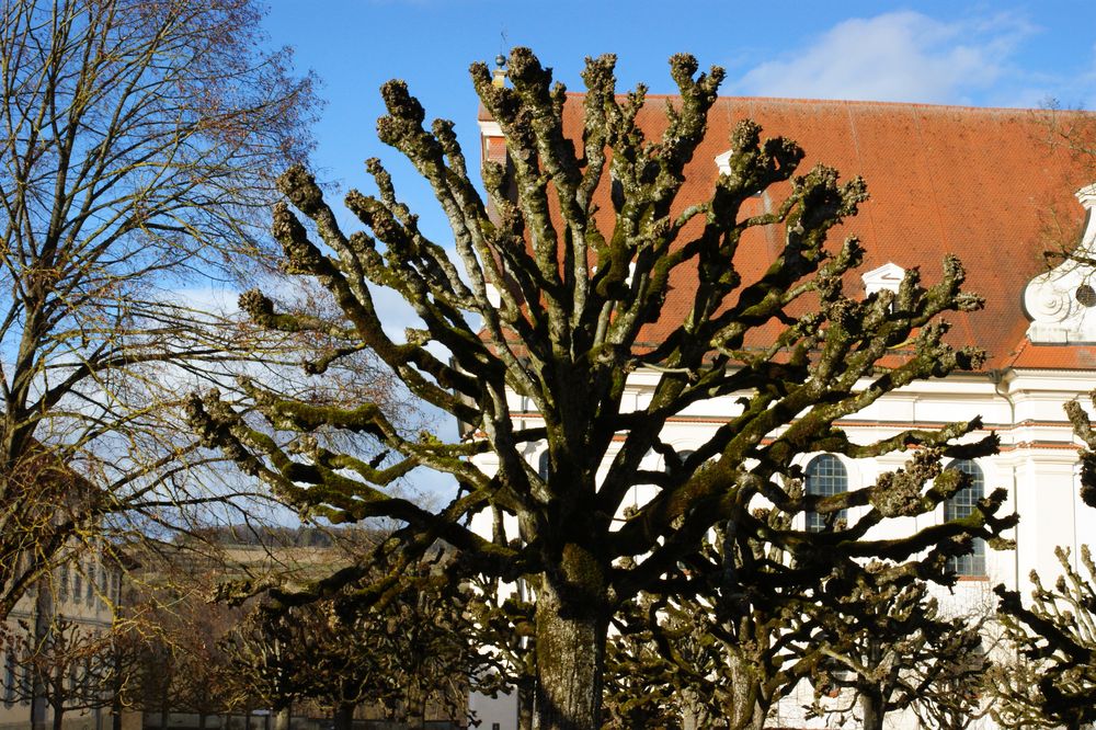 Impressionen Kloster Obermarchtal