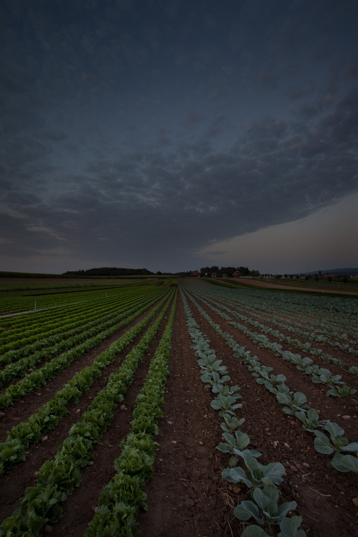 Impressionen Landwirtschaft II