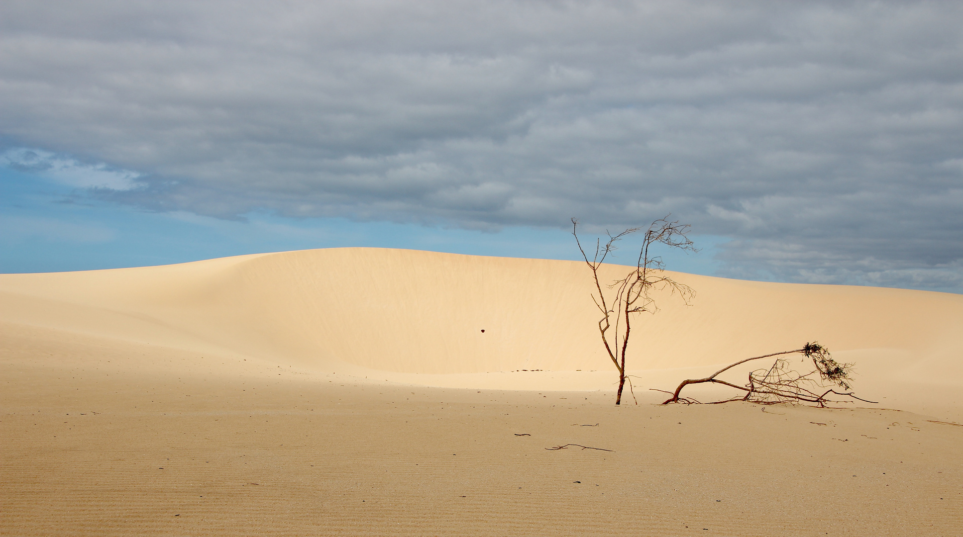 Impressionen - Las Dunas de Corralejo ... ´13 / 6764.b16