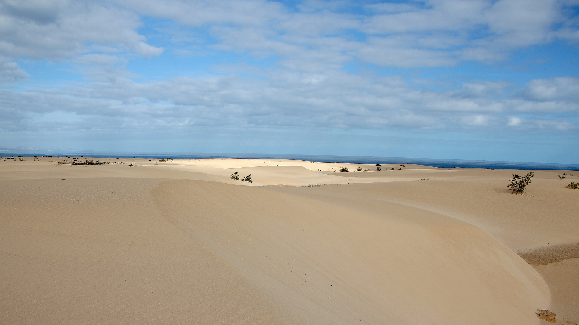 Impressionen - Las Dunas de Corralejo ... ´13 / 6835.b16