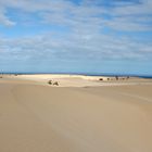 Impressionen - Las Dunas de Corralejo ... ´13 / 6835.b16