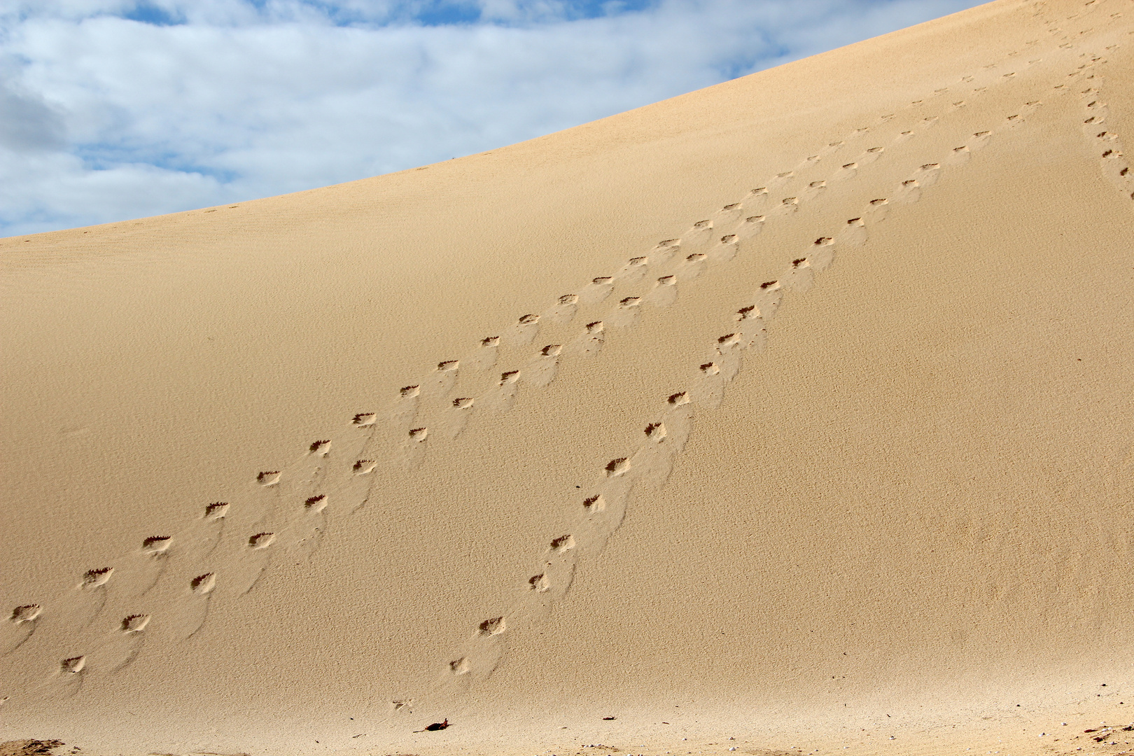 Impressionen - Las Dunas de Corralejo ... ´13 / 6890.b16