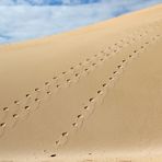 Impressionen - Las Dunas de Corralejo ... ´13 / 6890.b16