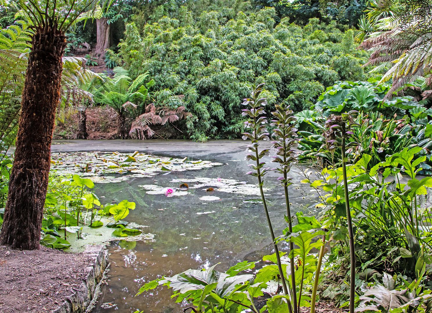 Impressionen - Lost Gardens of Heligan